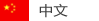 中文
